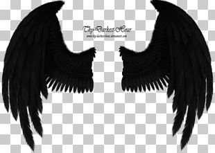 Angel Wing Bird PNG, Clipart, Angel Wing, Angel Wing Vector, Bird, Bird ...