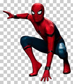 Spiderman Spider PNG, Clipart, Comics And Fantasy, Spiderman Free PNG ...