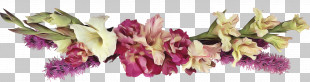Flower Border Flower Background Floral Line PNG