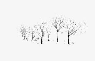 Winter Tree Material PNG