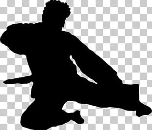 Silhouette Karate Martial Arts Png, Clipart, Black, Black And White 