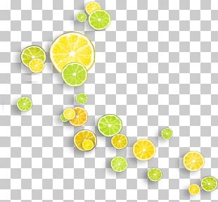 Lemon Tree PNG Images, Lemon Tree Clipart Free Download