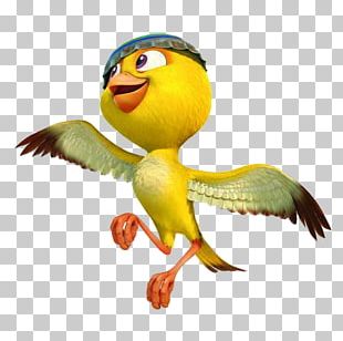 Blu Rio Character Film Png Clipart Beak Bird Blu Cartoon Character Free Png Download