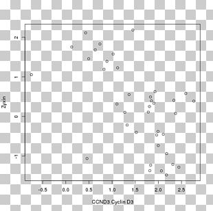 Line Angle Point Document PNG