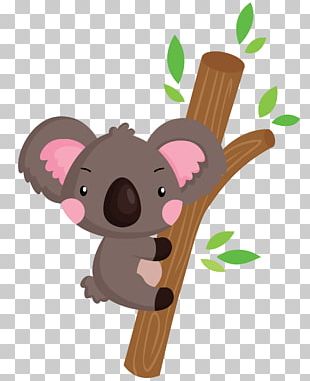 Koala Photography Illustration PNG