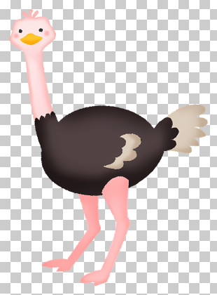 Clipart - Cute Ostrich Illustration PNG