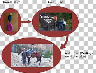 Horse Pack Animal Brand PNG