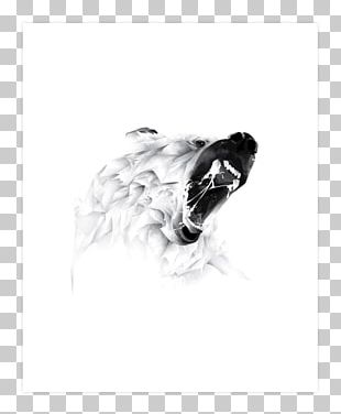 Polar Bear Grizzly Bear Drawing Canidae PNG