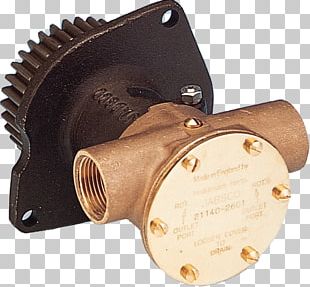 Malossi Piaggio Zip Piaggio NRG Pump Courroie TrapÃ©zoÃ¯dale PNG