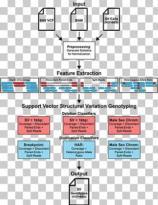 Structural Variation Genotyping Genotype Genetic Variation Libraries.io PNG