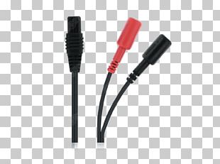 Electrotherapy Physical Therapy Bipolar Disorder Physiotherapie.com Kinesiotherapy PNG
