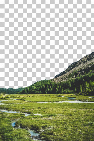 Mount Scenery Water Resources Wilderness Vegetation Biome PNG