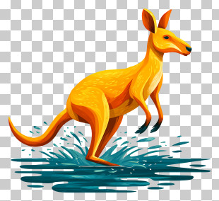 Kangaroo In Water - Yellow Kangaroo Jumping PNG