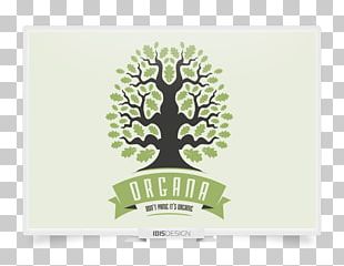 Logo Green Brand Tree Font PNG