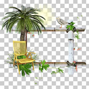 Palm Trees PNG