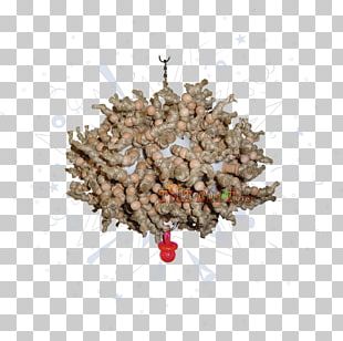 Mother Lode Plastic Hemp Bird Knot PNG