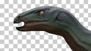 Camptosaurus Dinosaur Geological Period Product Jurassic PNG