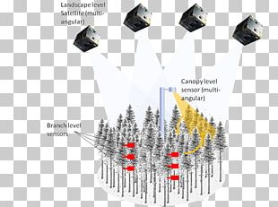 Remote Sensing Sensor Photosynthesis Atmosphere Carbon Dioxide PNG