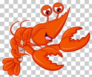 Lobster Chef Cartoon PNG