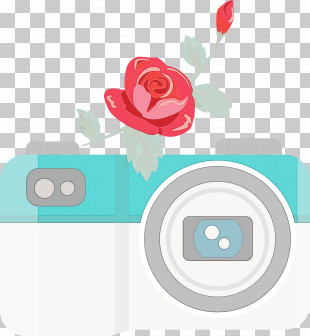 Floral Design PNG