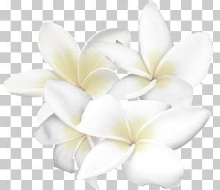 White Flower PNG, Clipart, Blue, Clip Art, Color, Cut Flowers, Floral ...