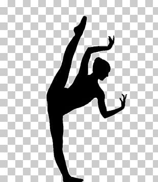 Ballroom Dance Ballet Dancer PNG, Clipart, Ball, Ballet, Beautiful ...