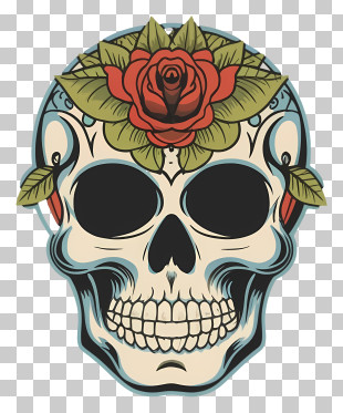 Cartoon - Decorative Skull With Floral Elements For Day Of The Dead PNG