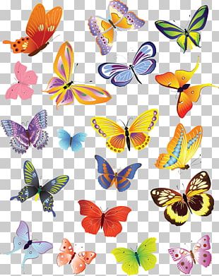 Butterfly Drawing PNG, Clipart, Animal, Arthropod, Black, Black And ...