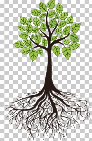 Drawing Tree Root PNG, Clipart, Art, Artwork, Branch, Drawing ...