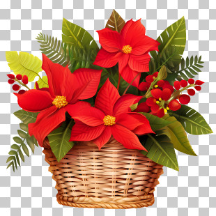 Poinsettia - Poinsettia Flower Basket For Christmas Decor PNG