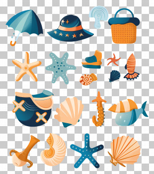 Beachcombing - Colorful Beach Items Collection PNG