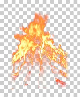Barbecue Grill Grilling Fireplace Combustion Flame PNG