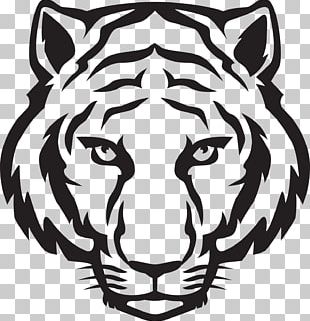 Drawing White Tiger PNG, Clipart, Angry, Angry Tiger, Bengal Tiger, Big ...