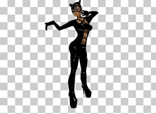 Catwoman Female Character PNG