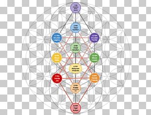 Tree Of Life Sacred Geometry Overlapping Circles Grid PNG, Clipart ...