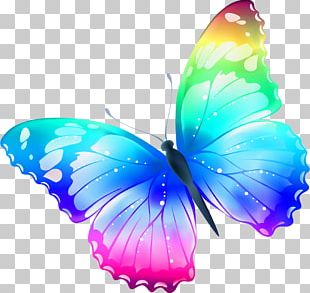 Butterfly Euclidean Pink PNG, Clipart, Animation, Blue Butterfly ...