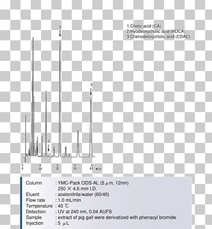 Line Angle Diagram PNG