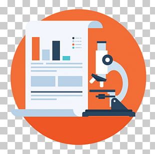 Web Design Website Development World Wide Web Search Engine Optimization Web Search Engine PNG