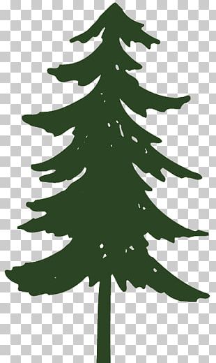 Eastern White Pine Fir Tree PNG, Clipart, Black And White, Branch ...