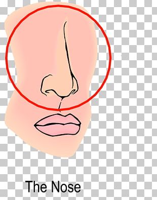 SB Physiotherapy - Pursed-lips breathing This exercise can be used at any  time to help you control your breathing. You can also use it while you are  doing something that makes you