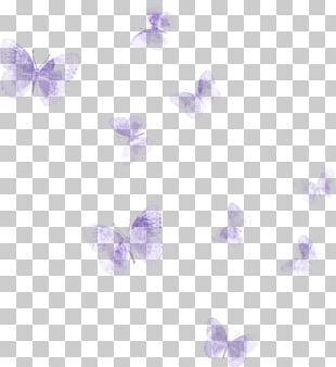 Butterfly Watercolor Painting Art PNG
