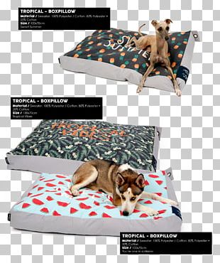 Mattress Bed Frame Let Them Float Cushion PNG