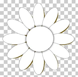 Daisy Flower PNG Images, Daisy Flower Clipart Free Download