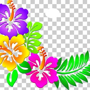 Cuisine Of Hawaii Luau PNG, Clipart, Bamboo, Border, Clip Art, Cuisine ...