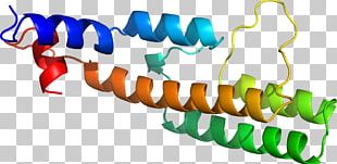Graphic Design DNA Ligase Logo PNG