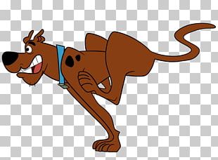 Scooby-Doo! Dog Canidae Čedok PNG, Clipart, Animals, Art, Artwork ...