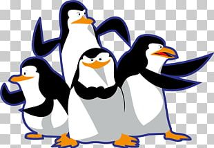 Penguin Kowalski Madagascar Skipper PNG