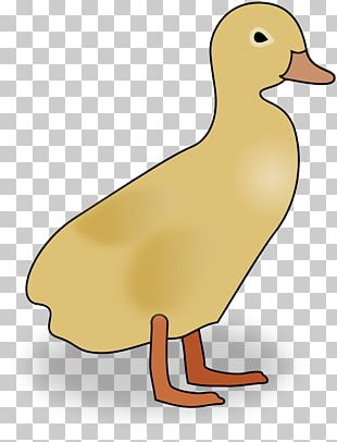 Duck PNG