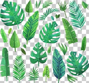 Watercolor Painting Leaf Illustration PNG, Clipart, Art, Behance ...