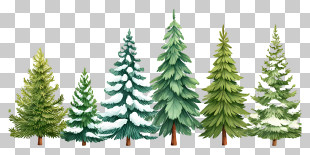 Christmas Trees Border - Natural Pine Tree Row In Snow PNG